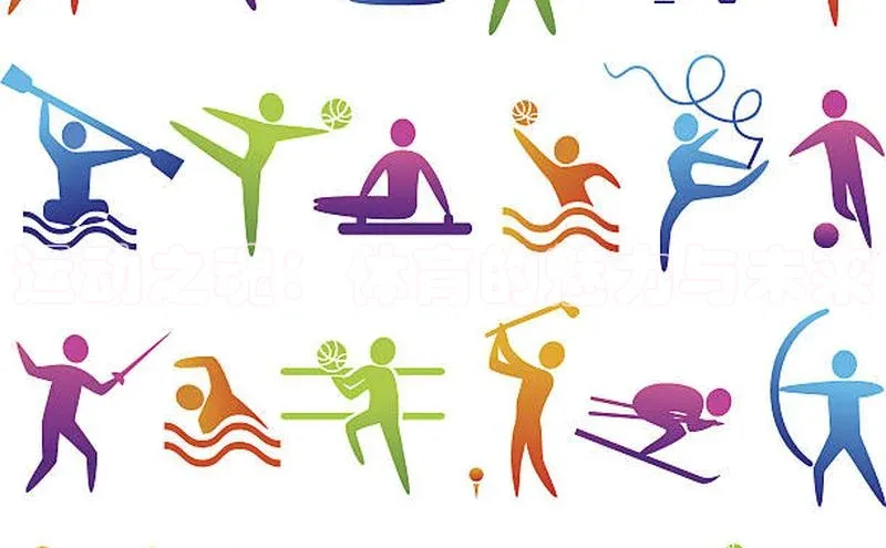 运动之魂：体育的魅力与未来