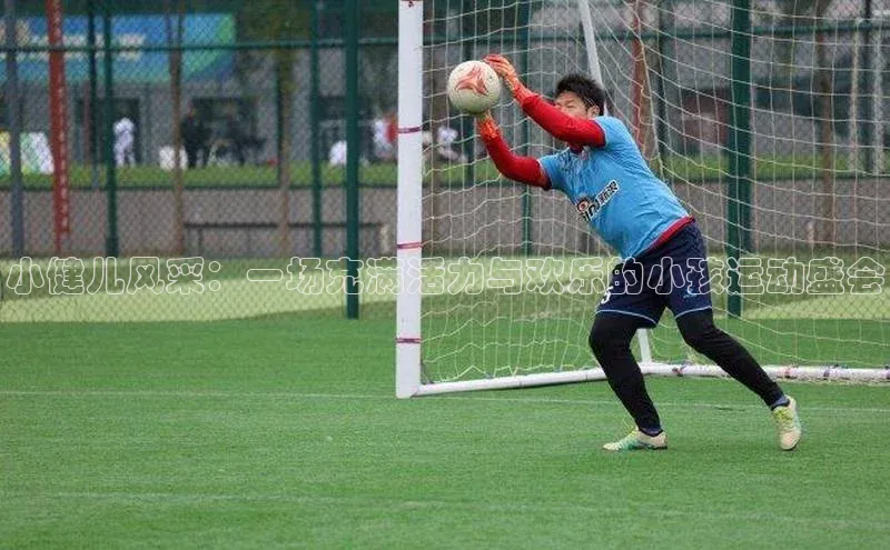 小健儿风采：一场充满活力与欢乐的小孩运动盛会