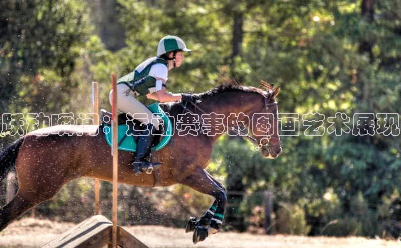 跃动瞬间：运动赛事的图画艺术展现