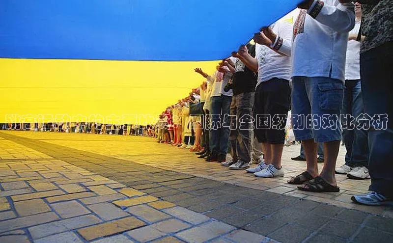 跳高运动中的主要比赛：国际与全国级别的对比分析