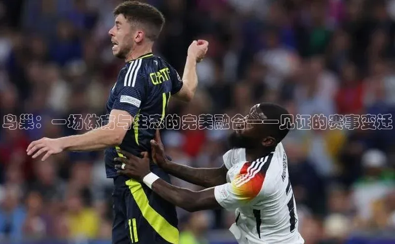 鸟巢：一场体育与生态的完美融合——见证的赛事变迁