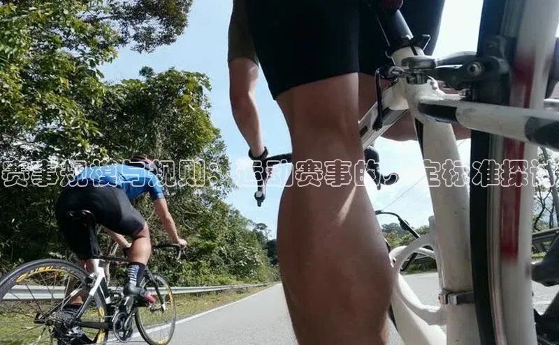 赛事规模与规则：运动赛事的界定标准探讨