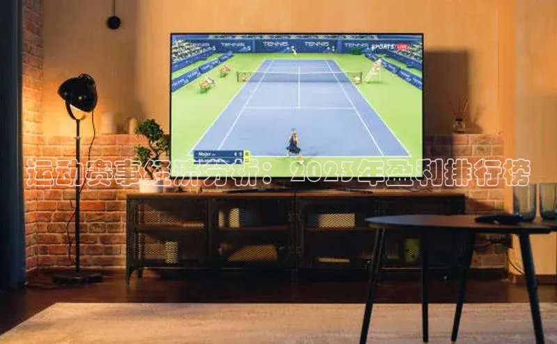 运动赛事经济分析：2023年盈利排行榜