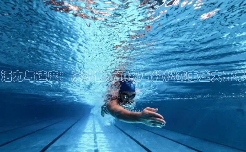 活力与速度：庆祝世界顶级马拉松赛事盛大开幕