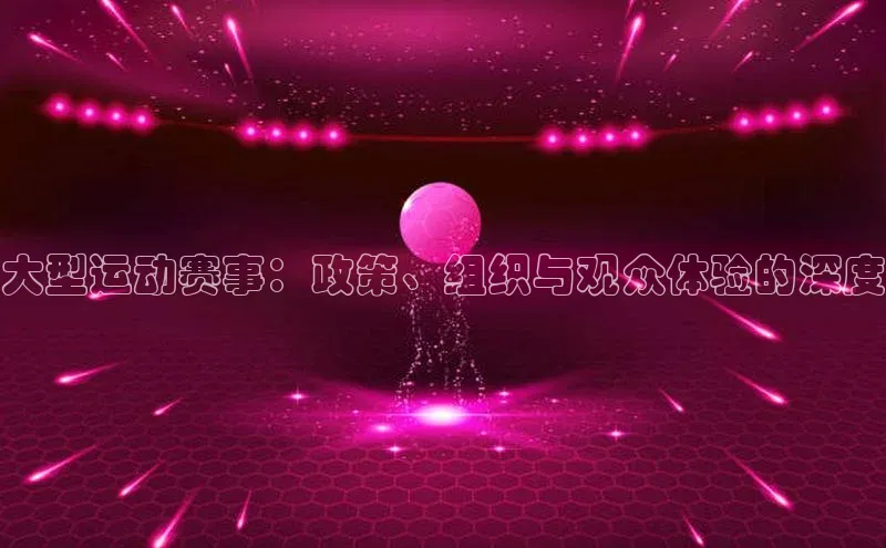 大型运动赛事：政策、组织与观众体验的深度