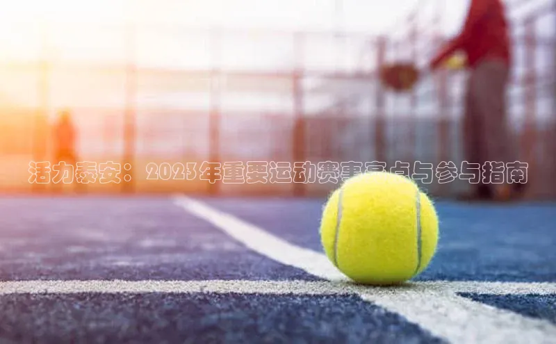 焦点娱乐下载手机版