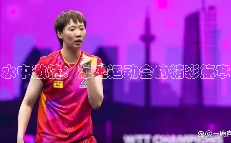 焦点登录平台登录入口