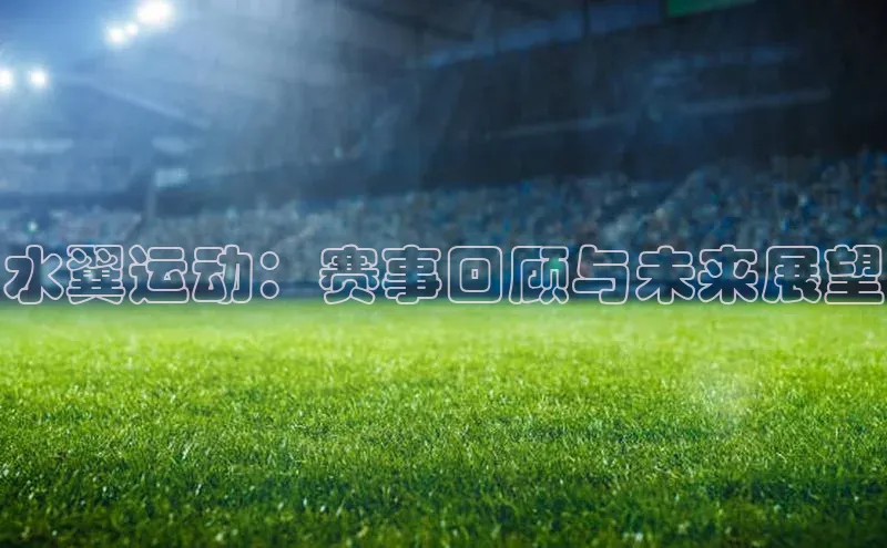 焦点娱乐代理平台