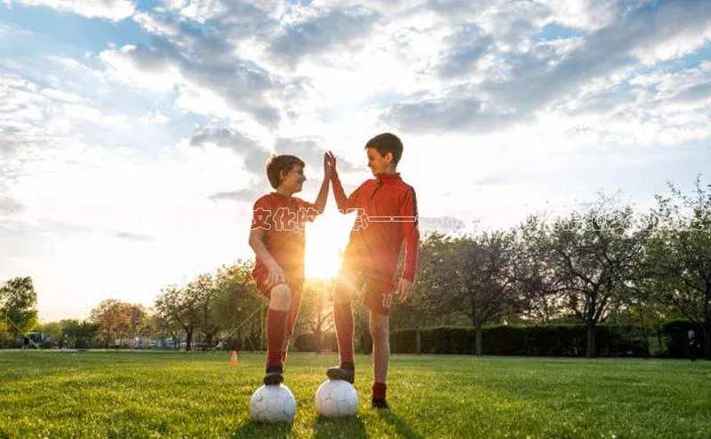 焦点登录平台登录入口