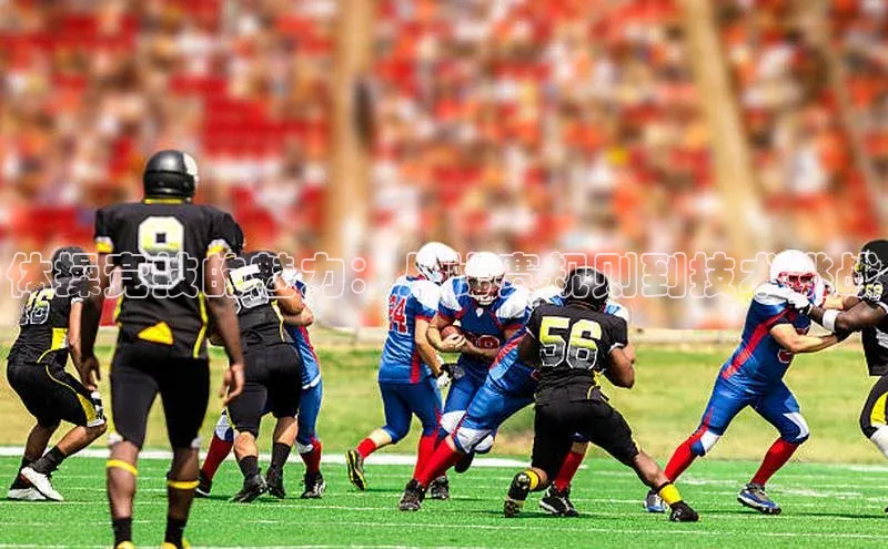 焦点登录地址入口