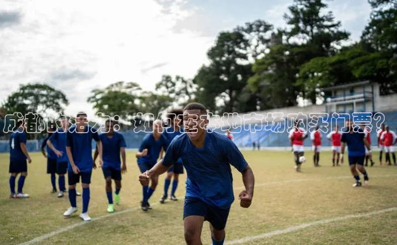 焦点手机登录平台