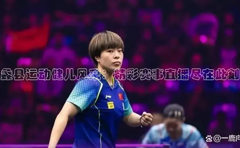 焦点手机登录平台