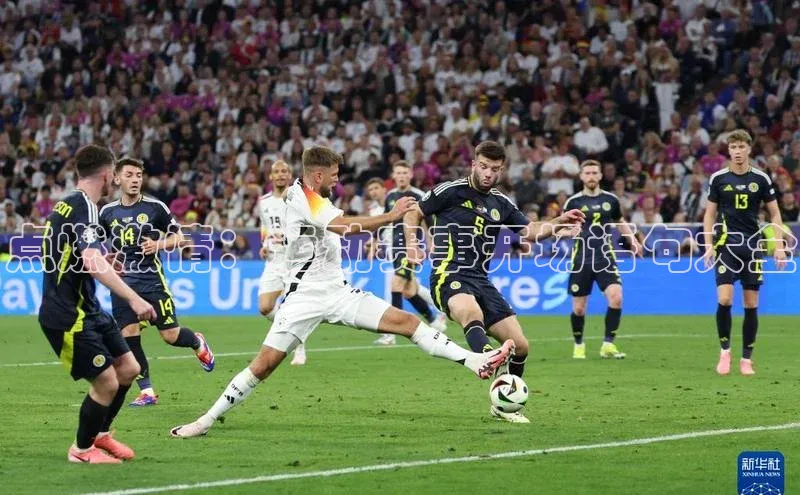 点燃激情：运动赛事开场语句大全